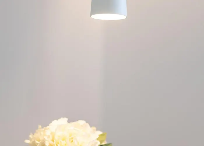 Offstudio Terrasse à 2 Pas De La Promenade Des * Nizza